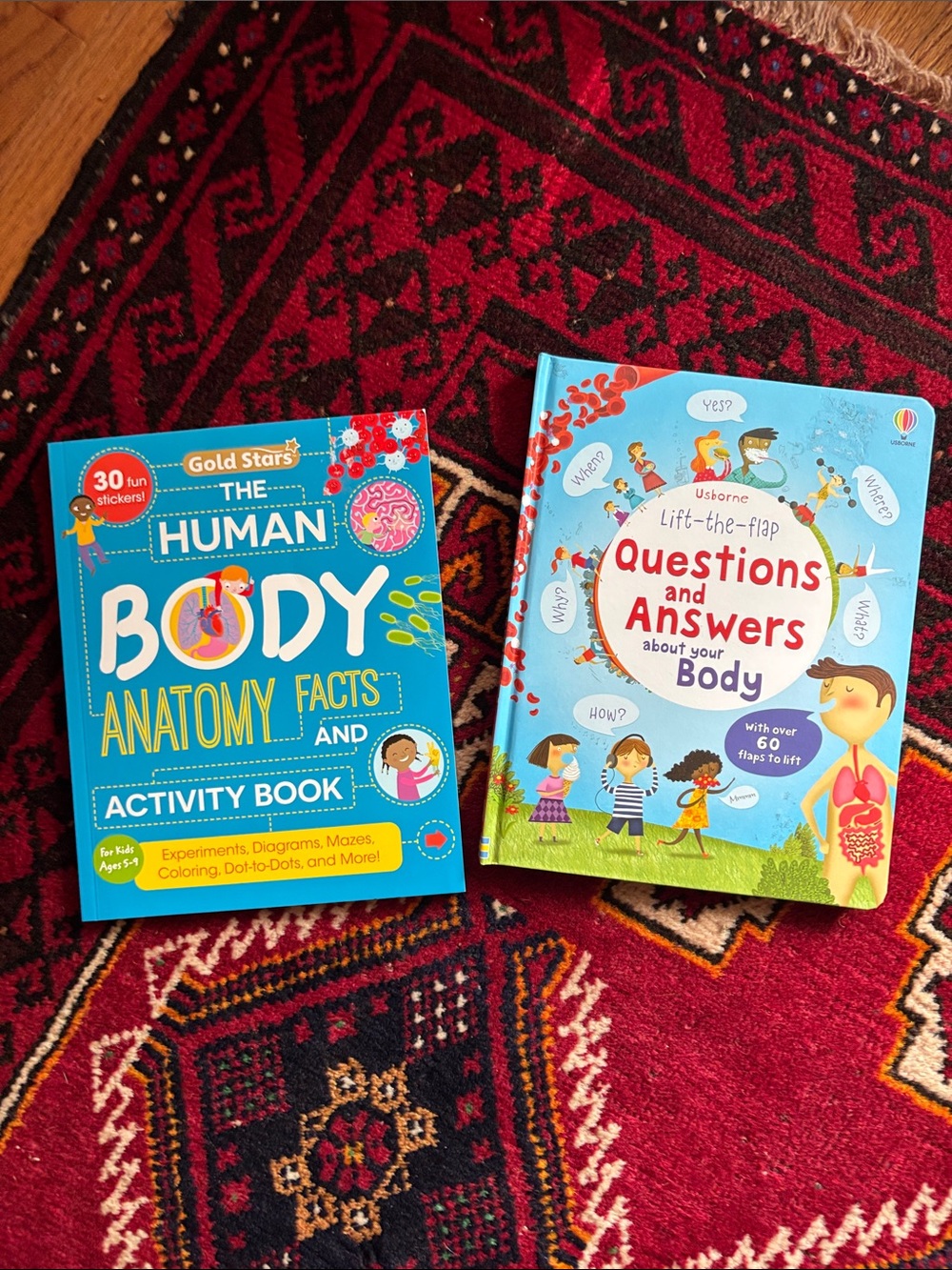 Usborne Questions about your body & Human Body Anatomy Facts Activity Book